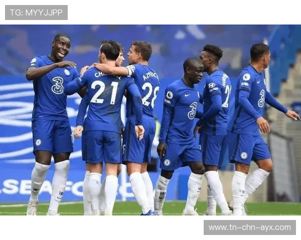 切尔西深度不足，科纳特顶上——解读蓝军阵容的隐忧与潜力